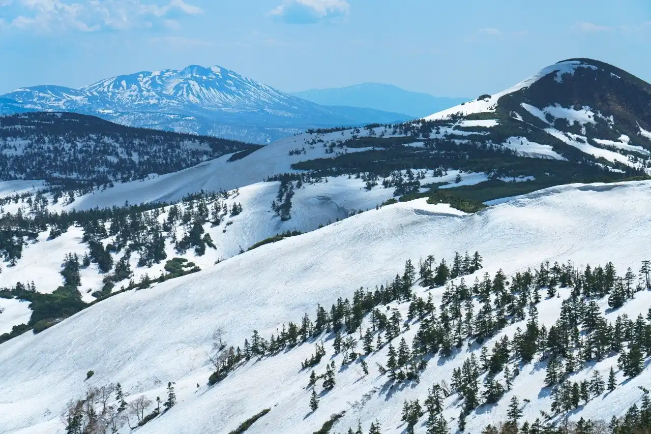 青空の下、残雪のある連峰と針葉樹が広がる雄大な山の風景